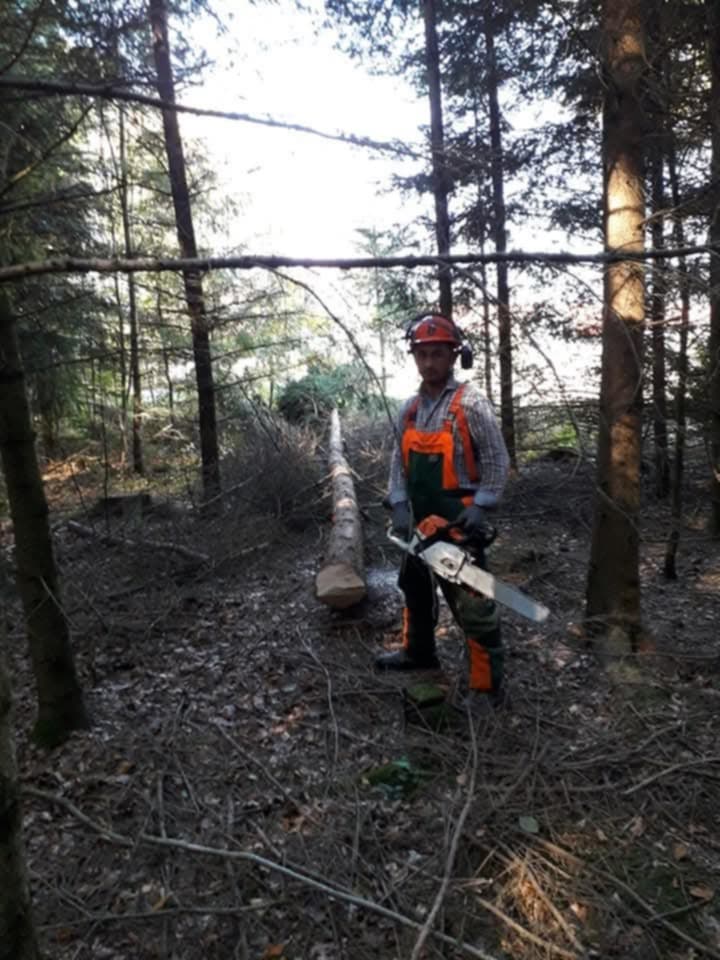 Amenajări peisagistice — aranjamente